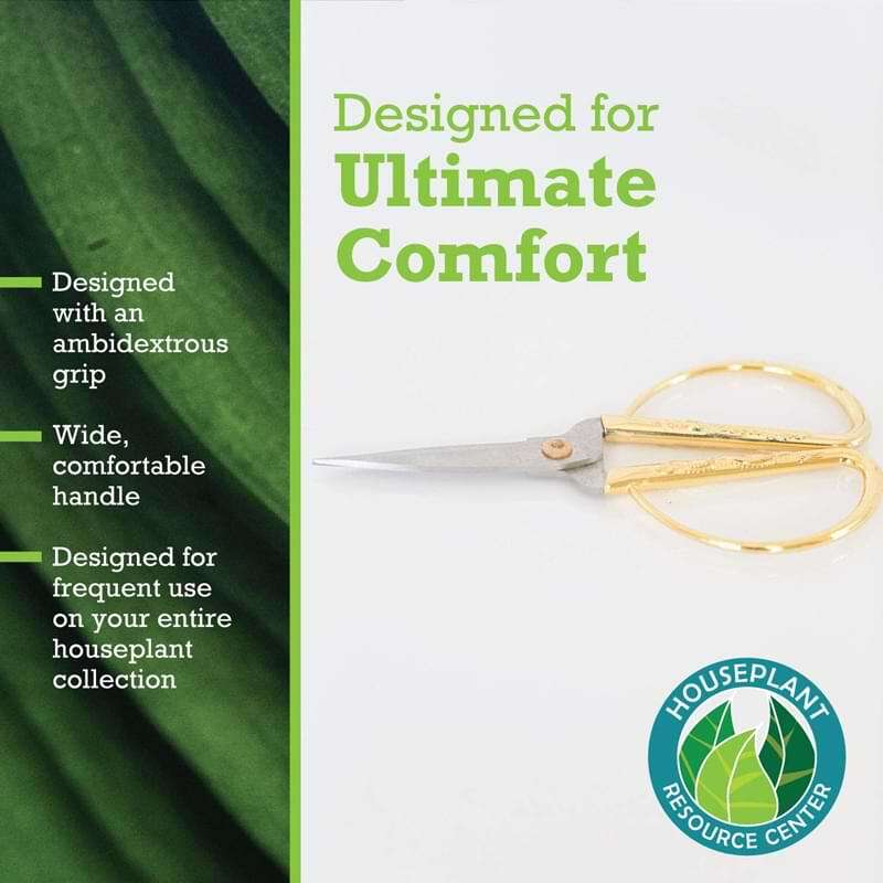 Houseplant Scissors and Pruning Shears