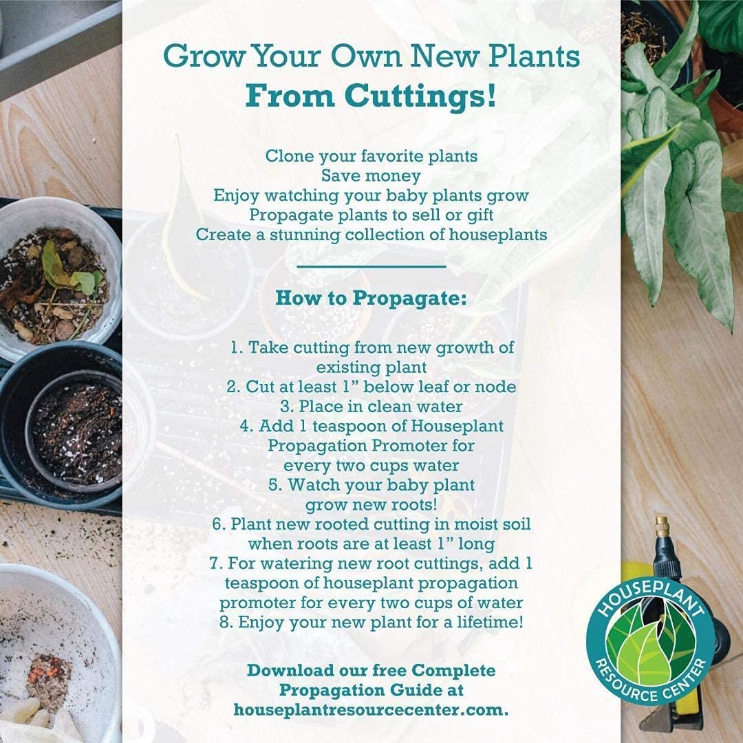 Propagation Promoter